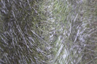 Stanford Dingley fibreglass roof work