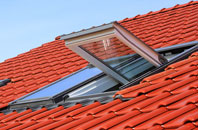 Stanford Dingley roof window